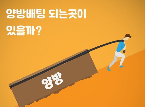 양방배팅